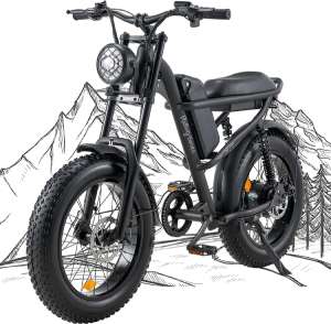 Ridingtimes-1500W-Winter-Moped-Style-Ebike