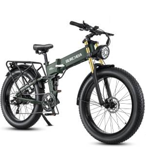 DAMSON-1000W-Electric-Off-Road-Bike-for-Adult
