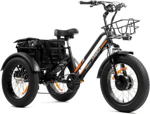 DWMEIGI-3-Wheel-Electric-Bike-for-senior
