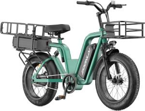 Doulve-Cargo-Electric-Bike