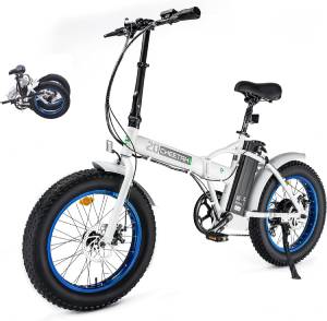 ECOTRIC-Beginner-Off-Road-Electric-Bike