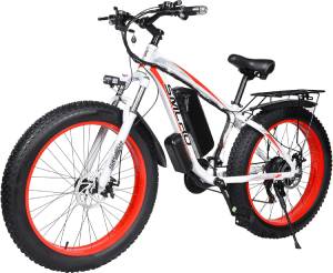 YinZhiBoo-Electric-Bike-for-tall-riders