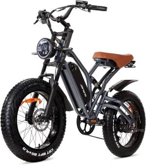 JANSNO-750-Watt-Electric-Bike